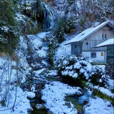 Apartment Seelodge